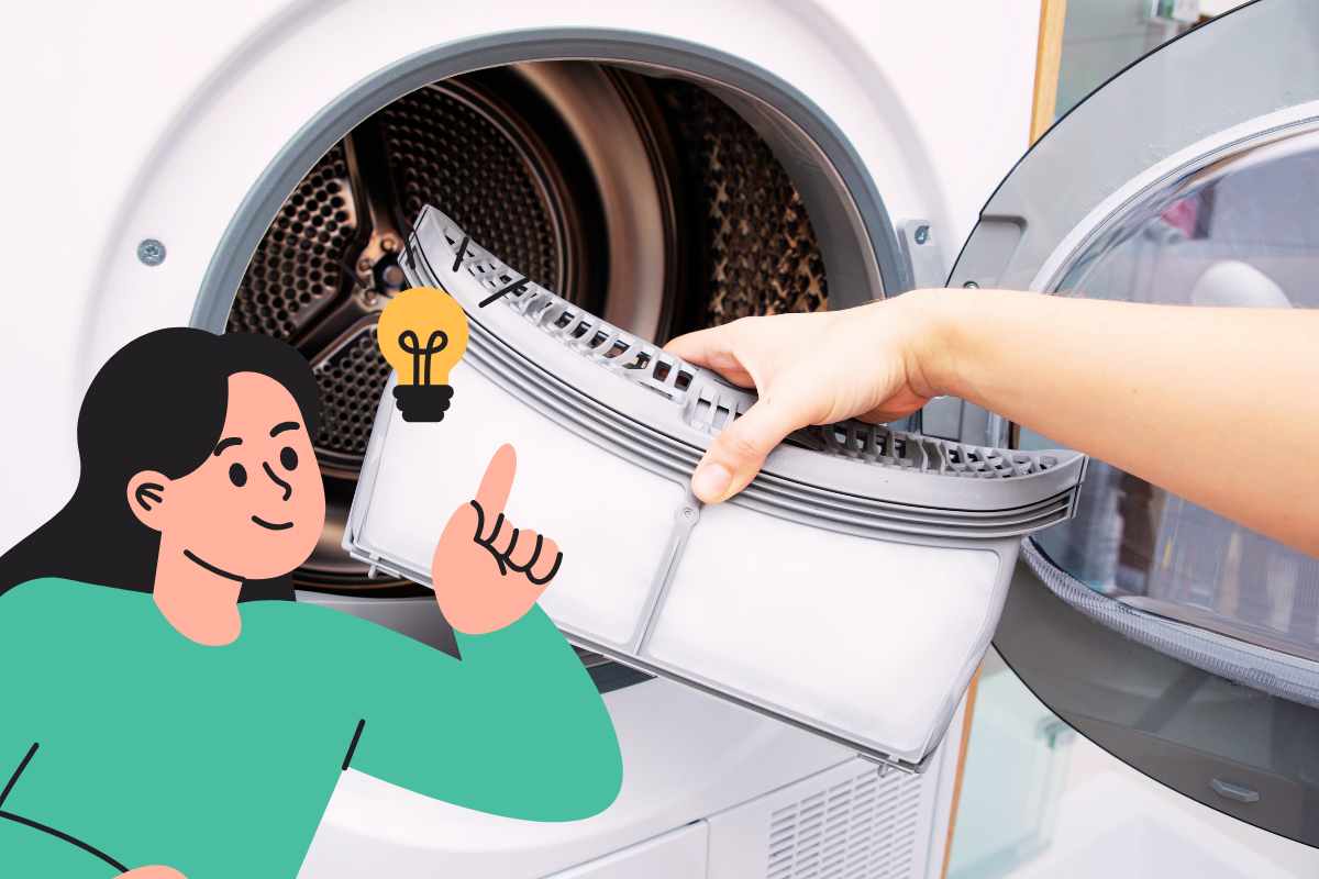 persona estrae filtro asciugatrice grafica ragazza idea