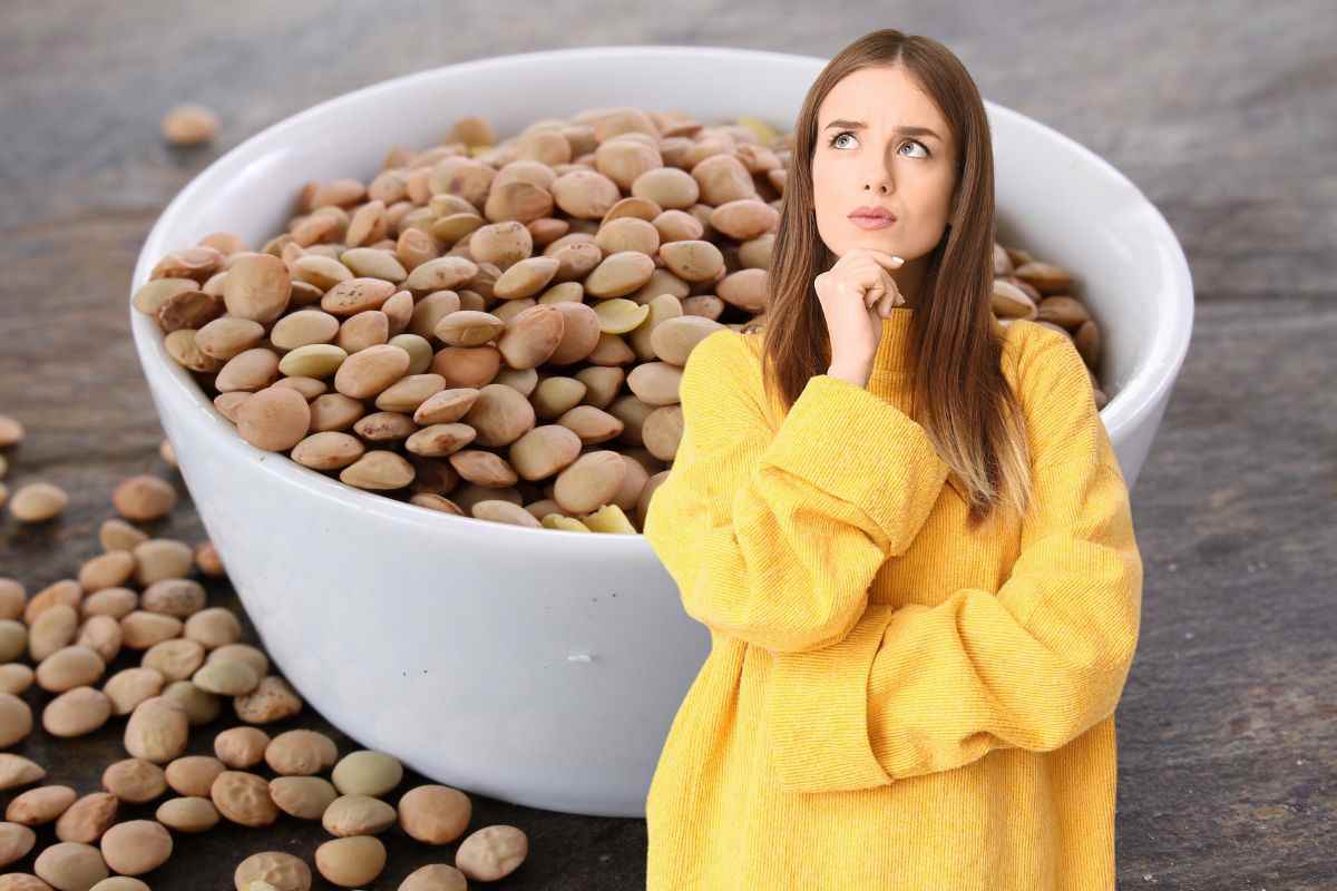 scodella contenente lenticchie secche