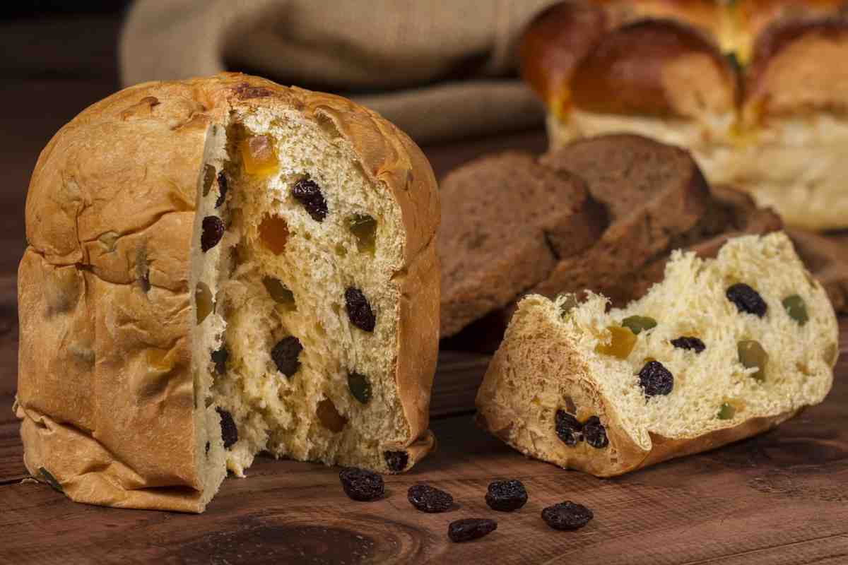 Panettone 