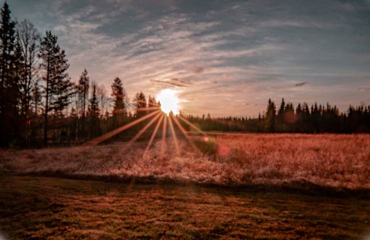 Mattinata serena all'alba in campagna
