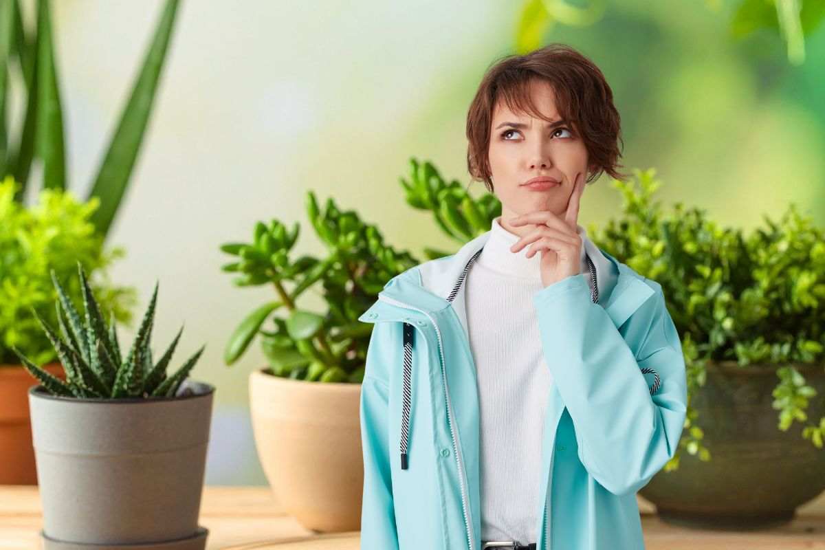 Spazio esterno di casa da riempire con piante