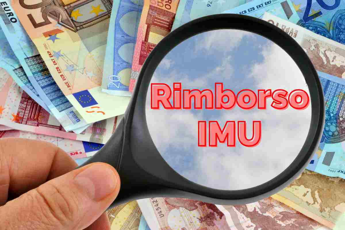 IMU semplificato documento