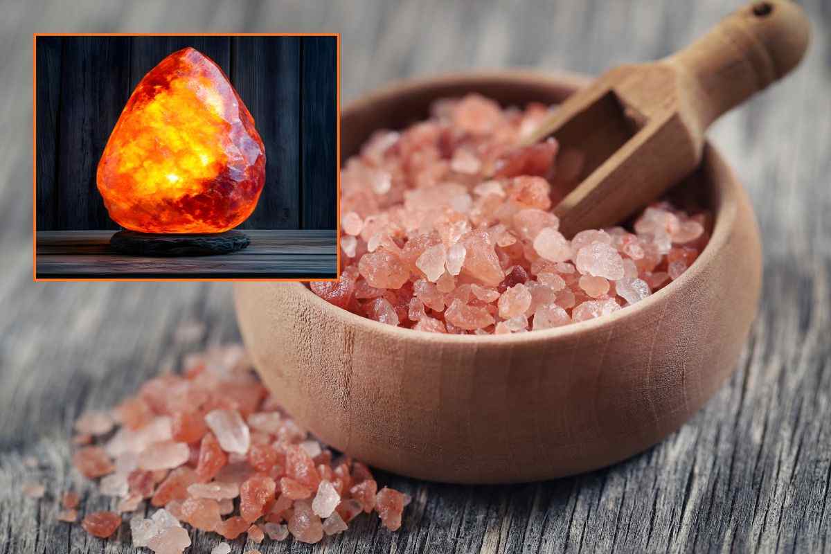 Chicchi di sale rosa dell'Himalaya