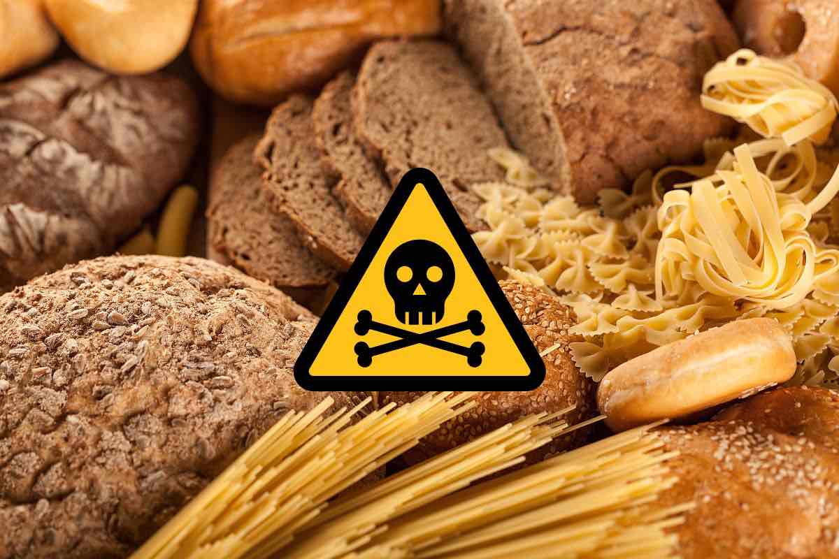 contaminazione pasta pane cereali