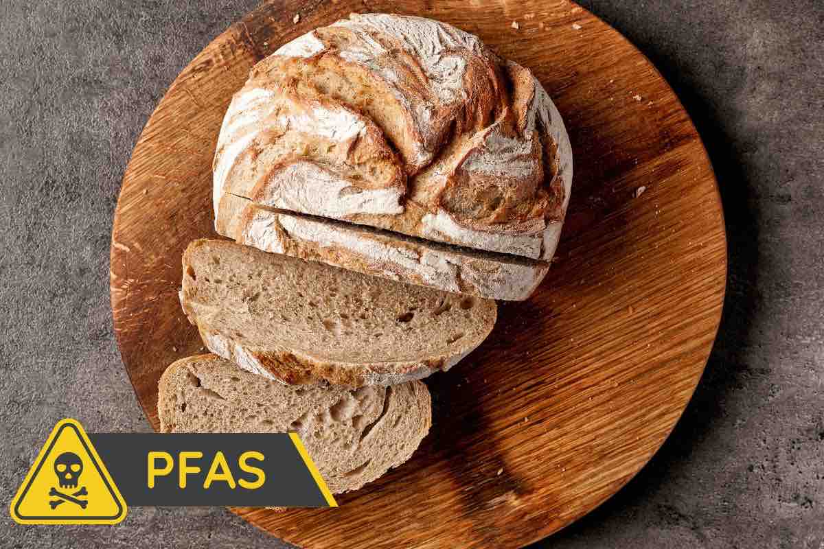 contaminazione pasta pane cereali