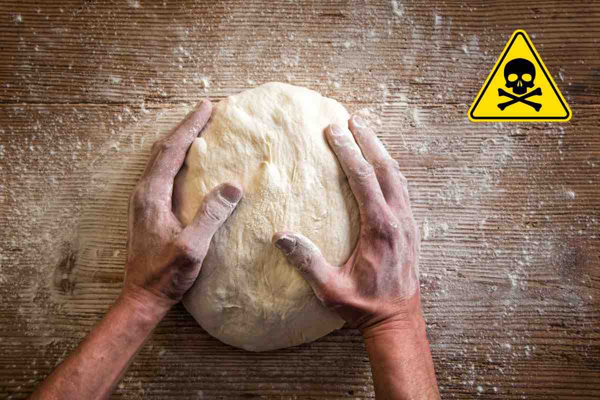 contaminazione pasta pane cereali