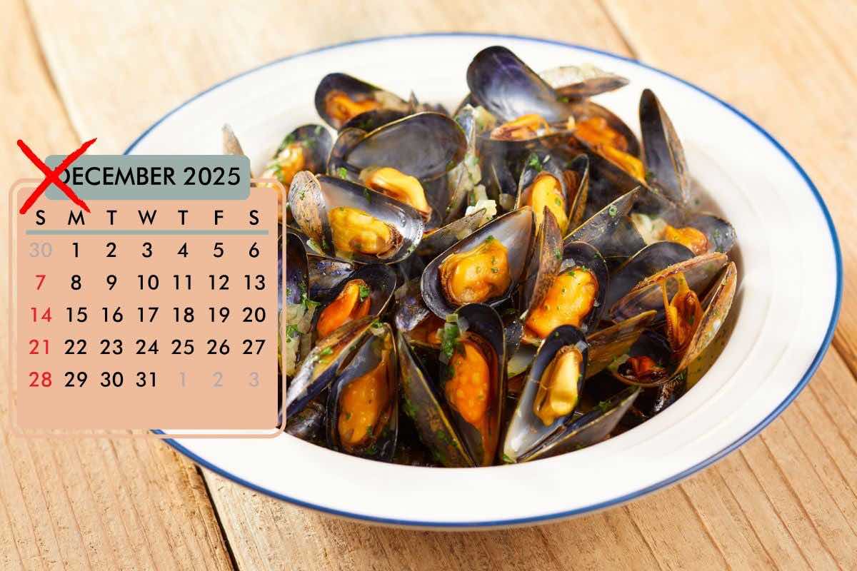 cozze mai mangiare mesi senza la r