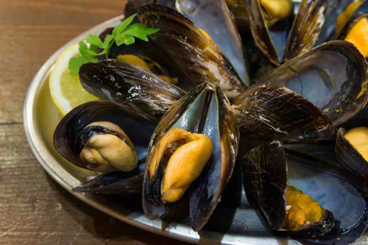cozze mai mangiare mesi senza la r