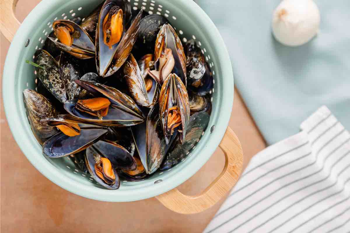 cozze mai mangiare mesi senza la r