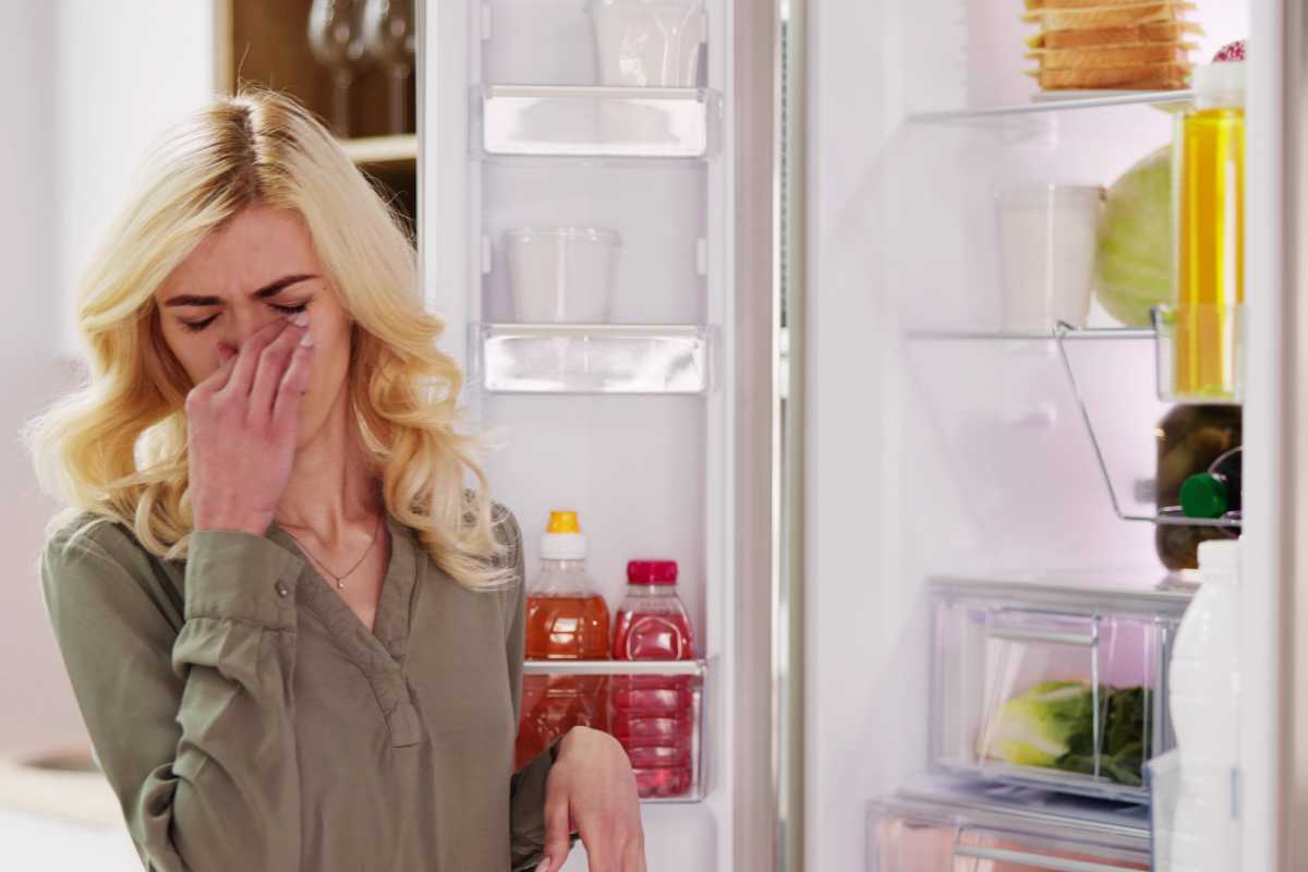 Donna che si tura il naso davanti a frigo aperto
