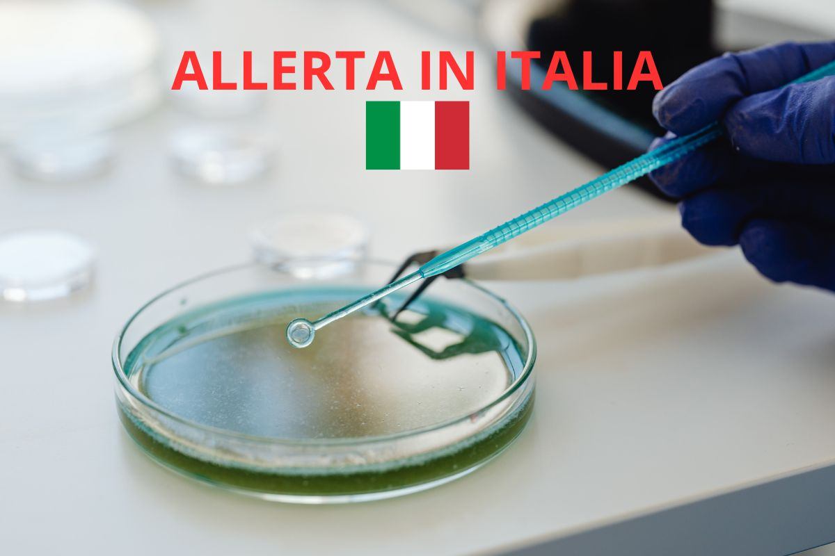 analisi di laboratorio, scritta allerta in italia e bandiera italiana