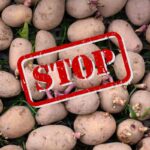 patate germogliate e scritta stop