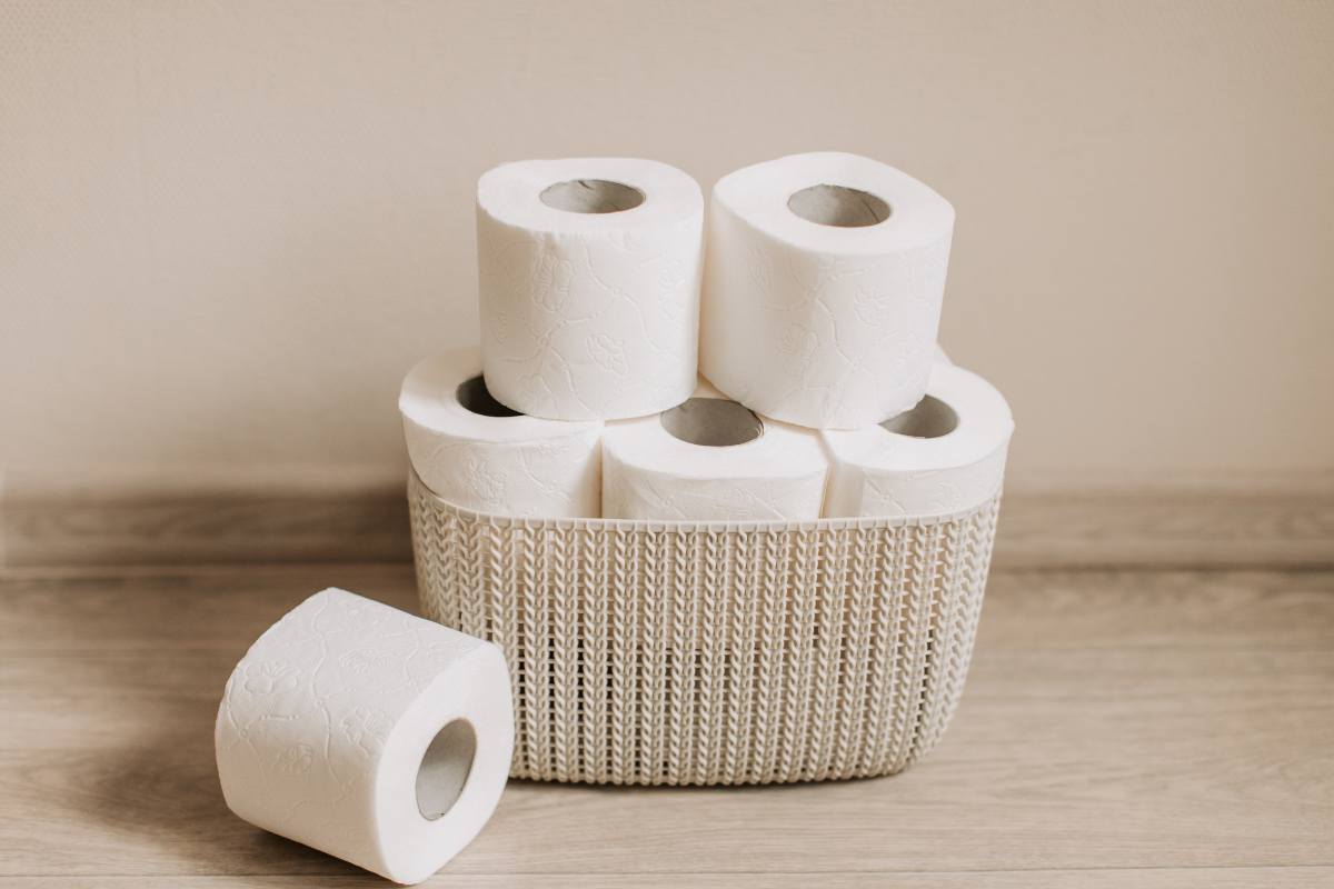 rotoli carta igenica dentro contenitore