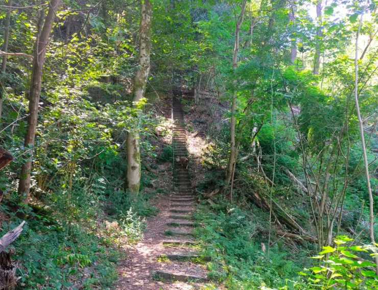 scala del paradiso sul lago di como